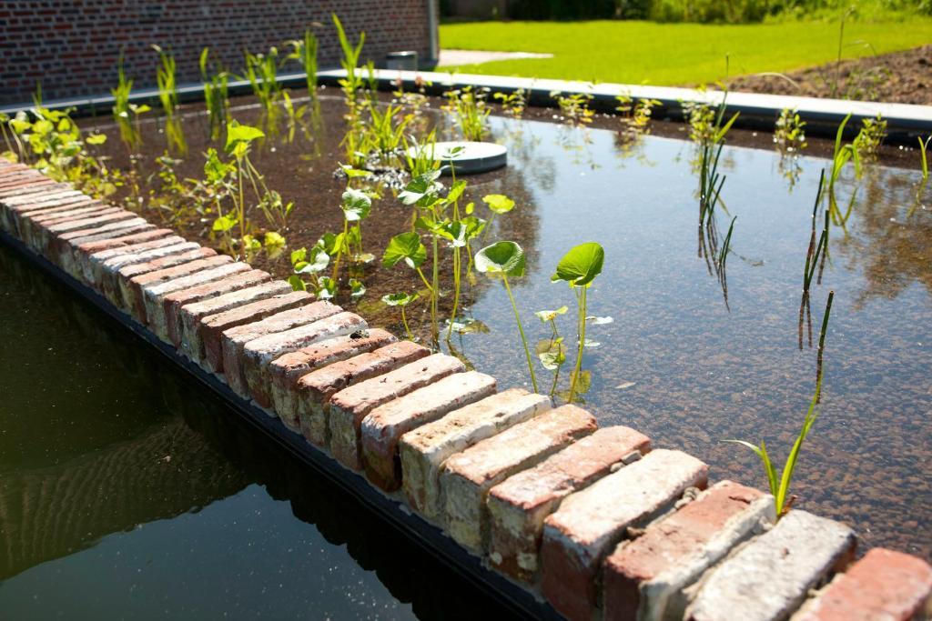 B&B De Deugdzonde Sint-Denijs Exteriér fotografie