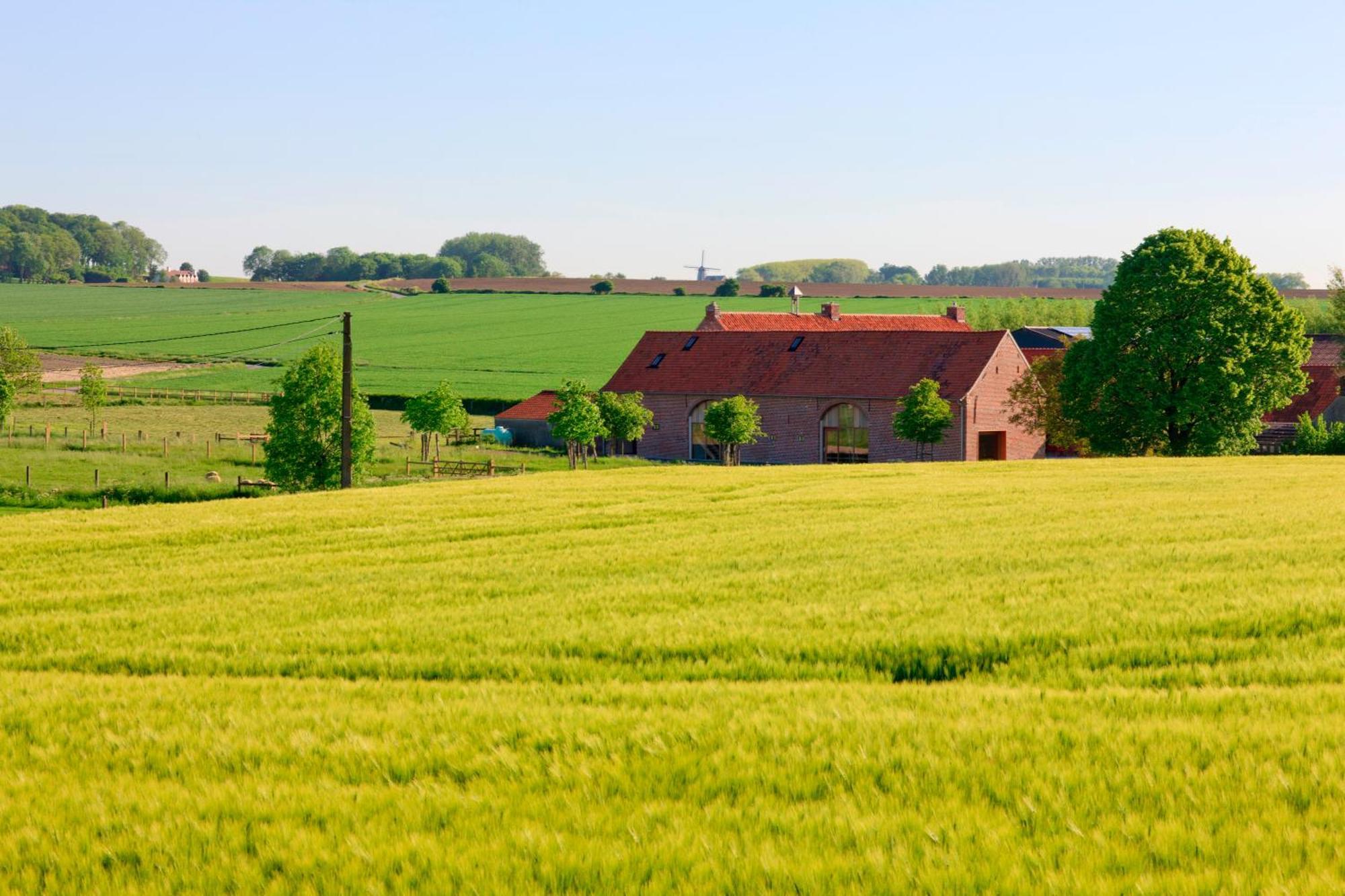 B&B De Deugdzonde Sint-Denijs Exteriér fotografie