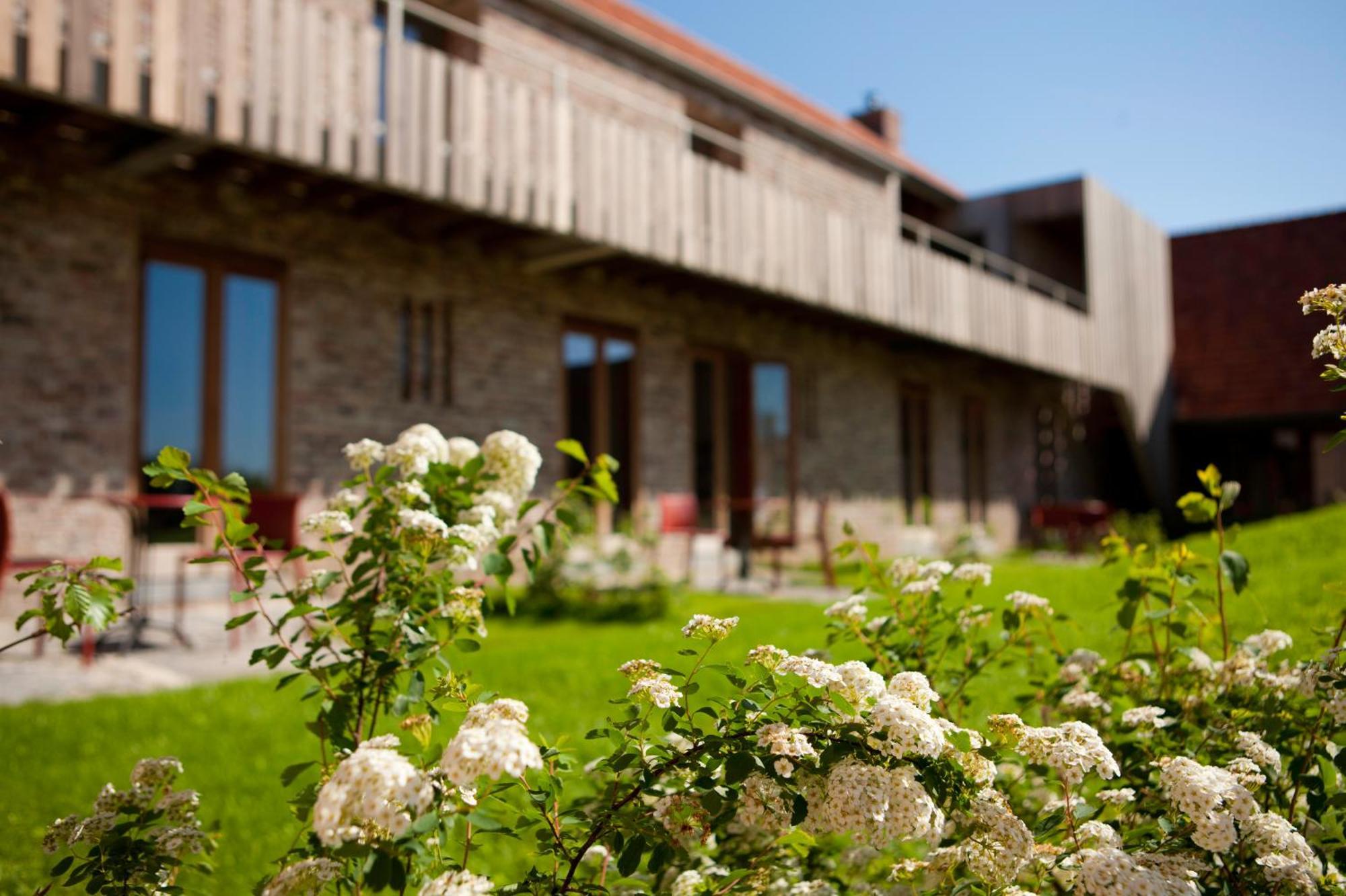 B&B De Deugdzonde Sint-Denijs Exteriér fotografie