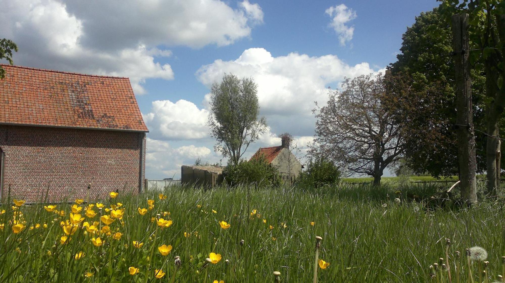 B&B De Deugdzonde Sint-Denijs Exteriér fotografie